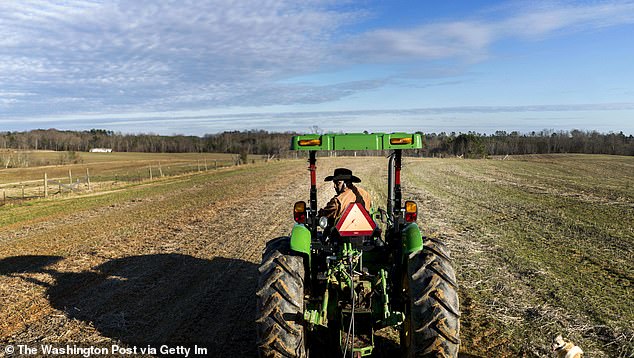 American farm bankruptcies have risen this year as the trade war between America and China intensifies
