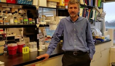 The risk of dying from cancer for survivors is almost double if they have had Covid, especially 'in the months following infection', according to Professor James DeGregori of the University of Colorado School of Medicine