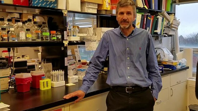 The risk of dying from cancer for survivors is almost double if they have had Covid, especially 'in the months following infection', according to Professor James DeGregori of the University of Colorado School of Medicine