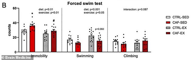 Sedentary rats on a junk food diet ((CAF-SED) gave up swimming faster, a sign of depression. But when they exercised (CAF-EX), they kept swimming, showing that exercise reversed the diet's adverse effect on mood
