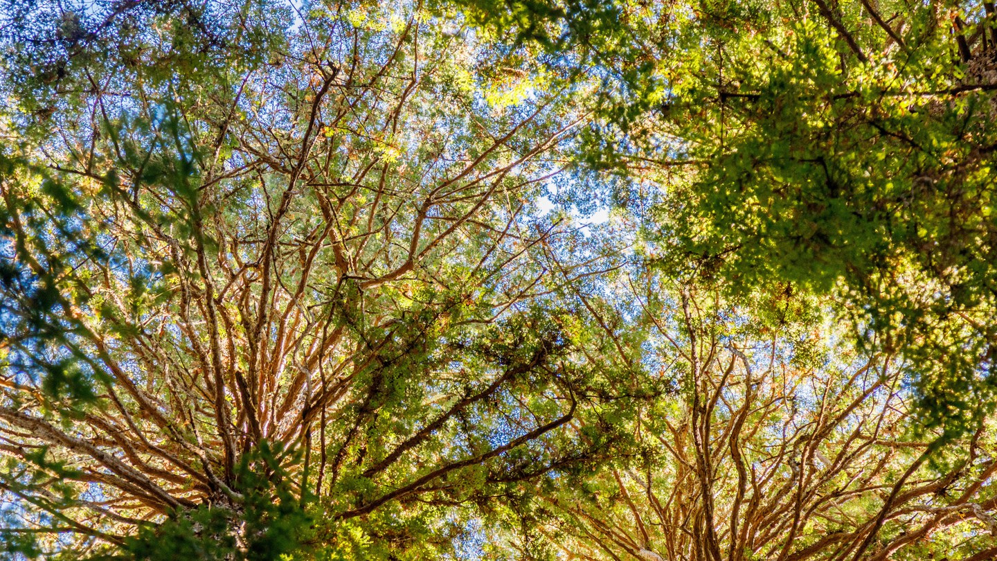 Cracking Long-standing Weakness In Classic Algorithm