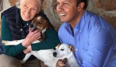 Jane Goodall by those closest to her: ‘She was a much more complex character than most people give her credit for’