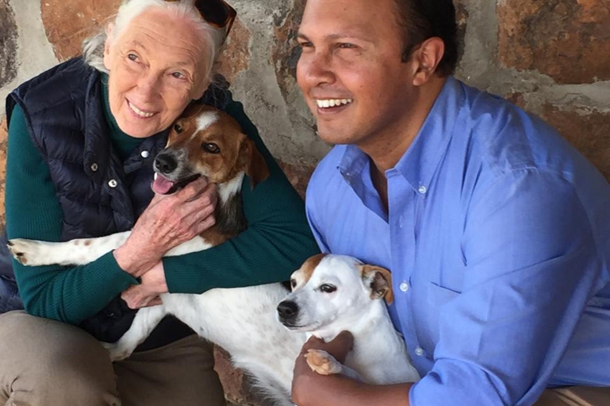 Jane Goodall by those closest to her: ‘She was a much more complex character than most people give her credit for’