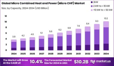 Micro Combined Heat and Power (Micro CHP) Market Size