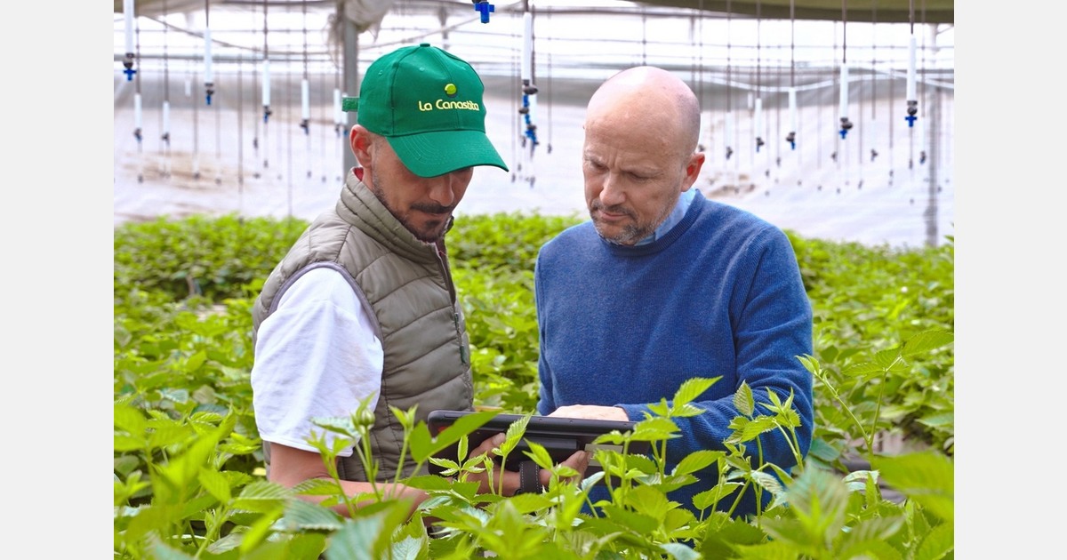 Varietal improvement and genetic differentiation translates into commercial opportunities