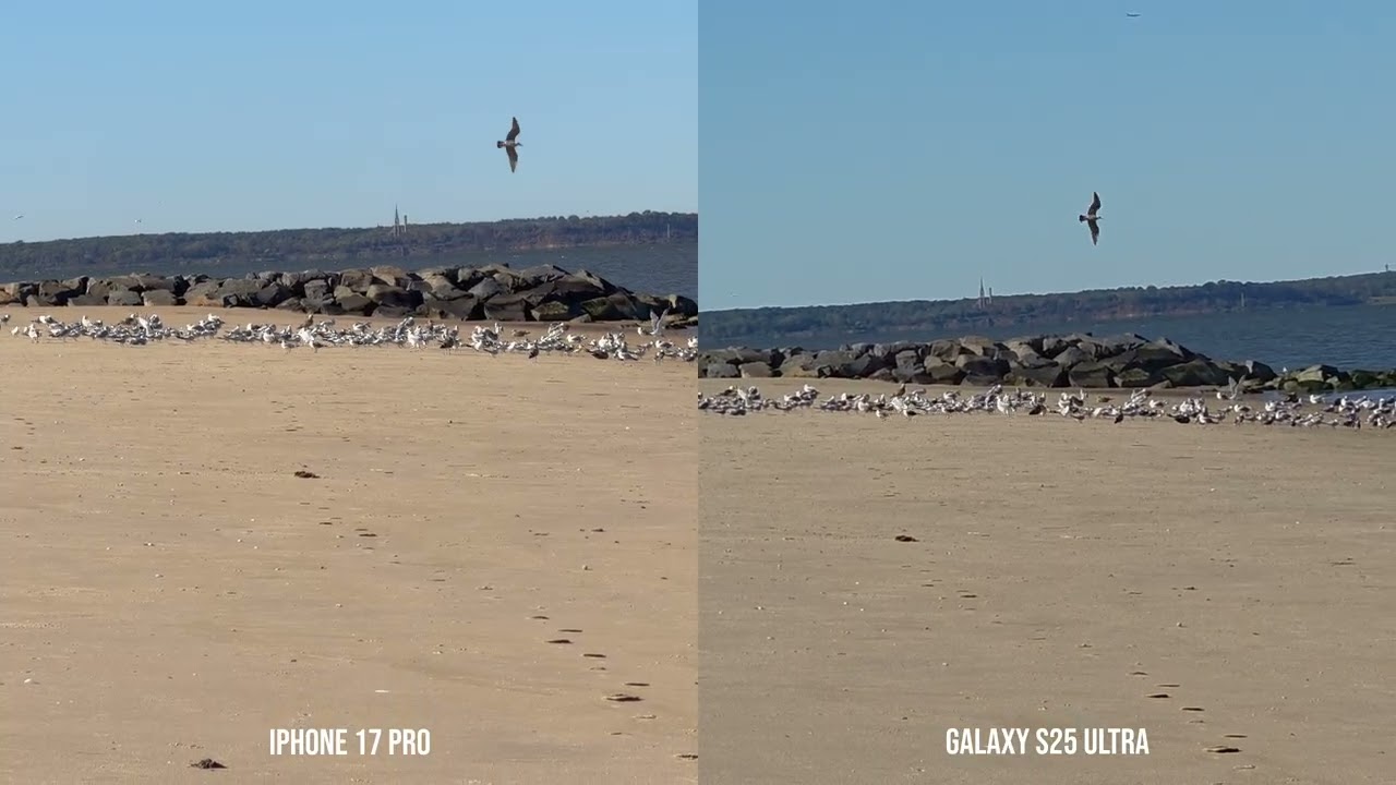 Zoom: iPhone 17 Pro vs. Galaxy S25 Ultra - YouTube