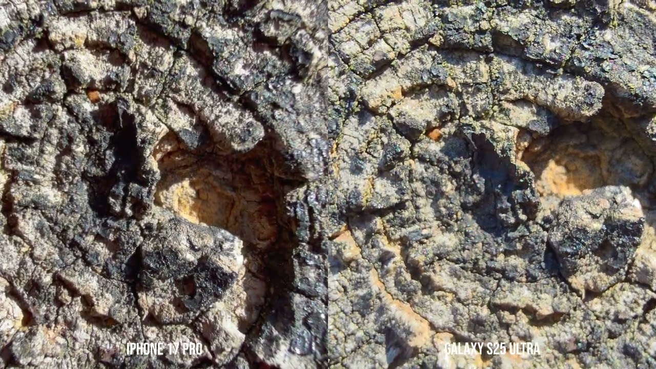 Macro: iPhone 17 Pro vs. Galaxy S25 Ultra - YouTube