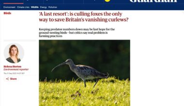 Shooting Times uses selective quote to shamelessly misrepresent my view on predator culls – Raptor Persecution UK