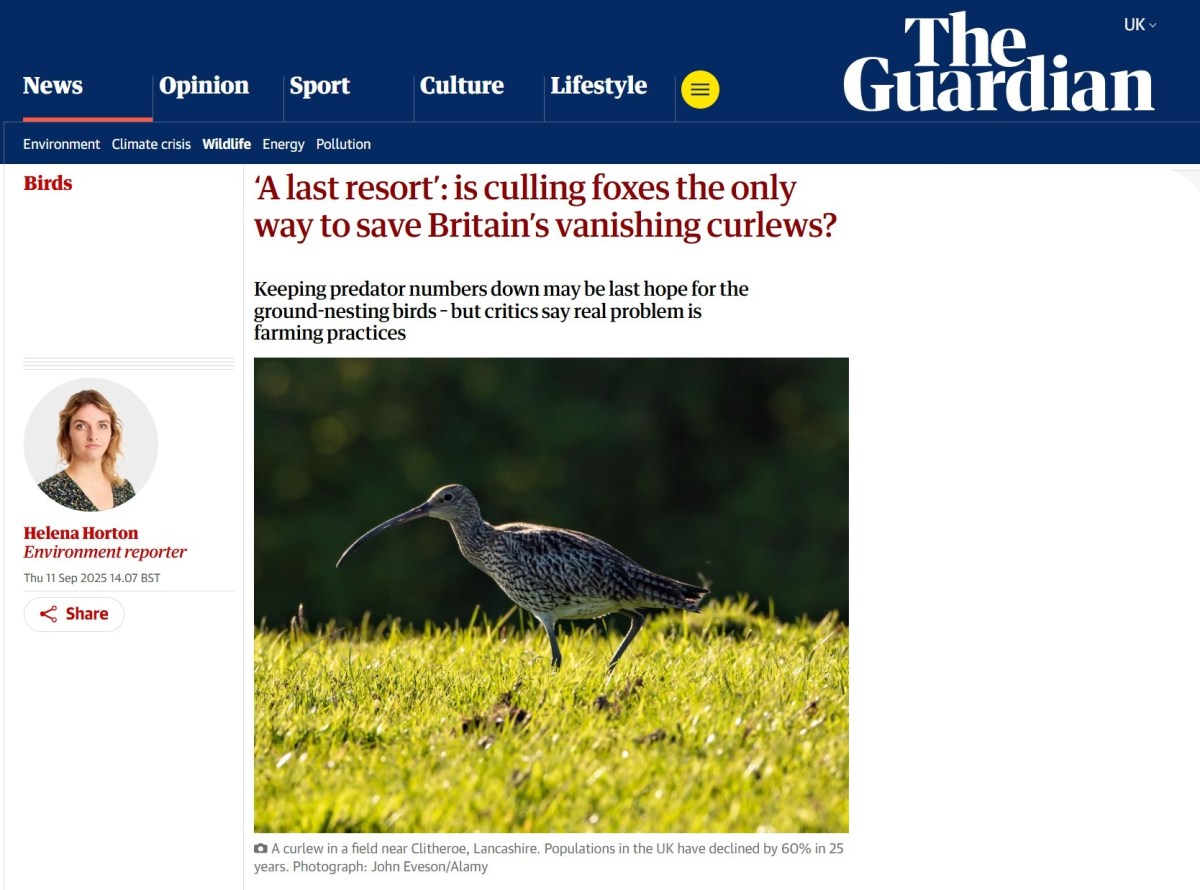 Shooting Times uses selective quote to shamelessly misrepresent my view on predator culls – Raptor Persecution UK