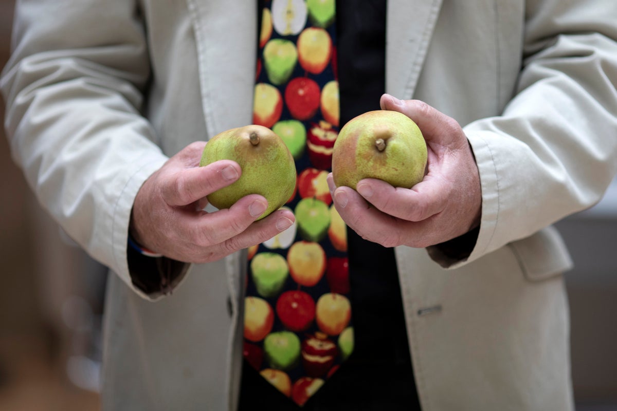 The fall fruit that’s great in a salad and packs a major fiber punch