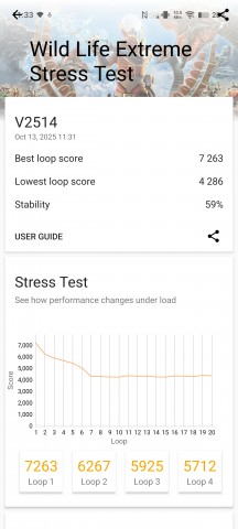 vivo X300 Pro: 3D Mark stress test - vivo X300 Pro hands-on review