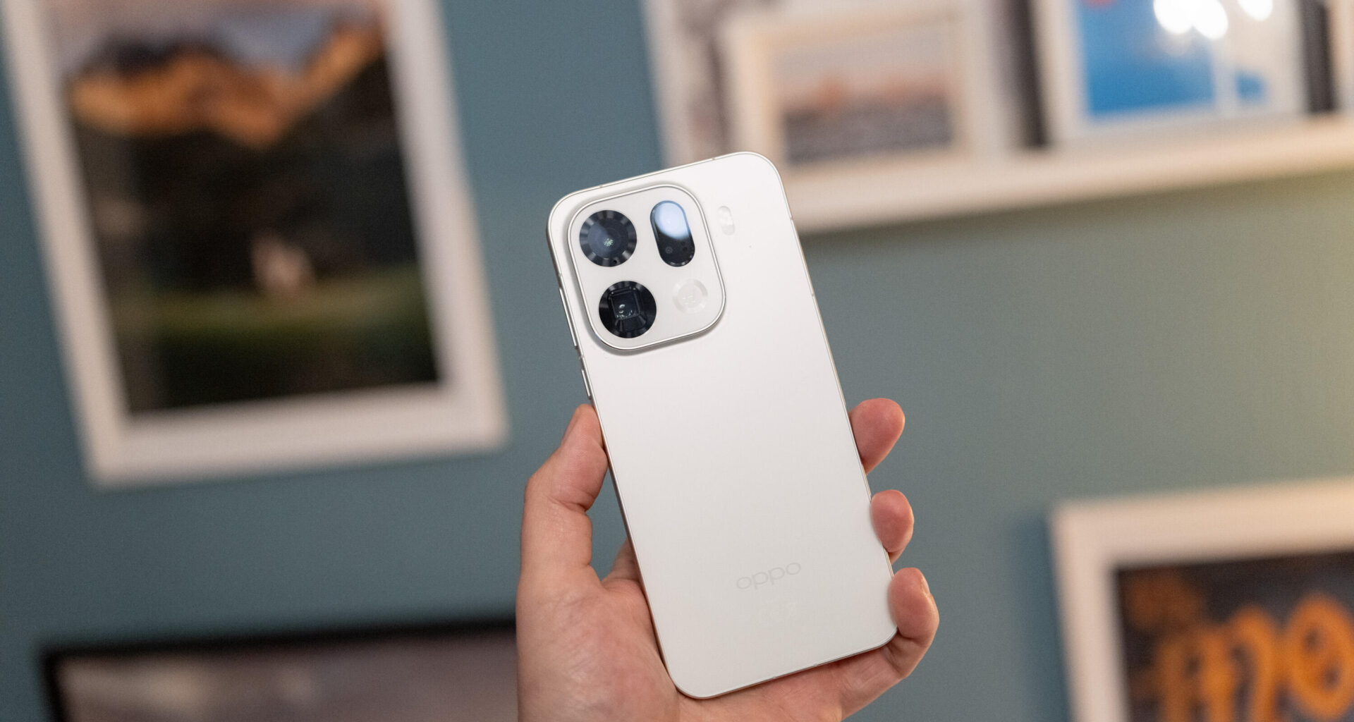 I've Taken Hundreds of Photos With the Oppo Find X9 Pro. These Are My Favs