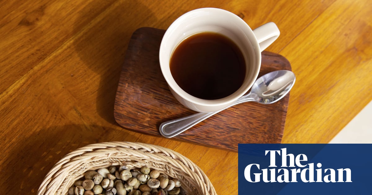 ‘Fermented in the gut’: scientists uncover clues about kopi luwak coffee’s unique taste | Coffee