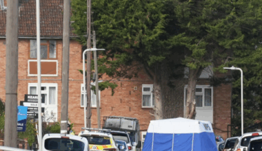 Dog walker killed and two injured