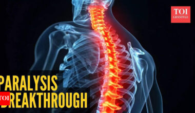 Cure for paralysis? Scientists find an old drug that could regenerate life in the spinal cord |