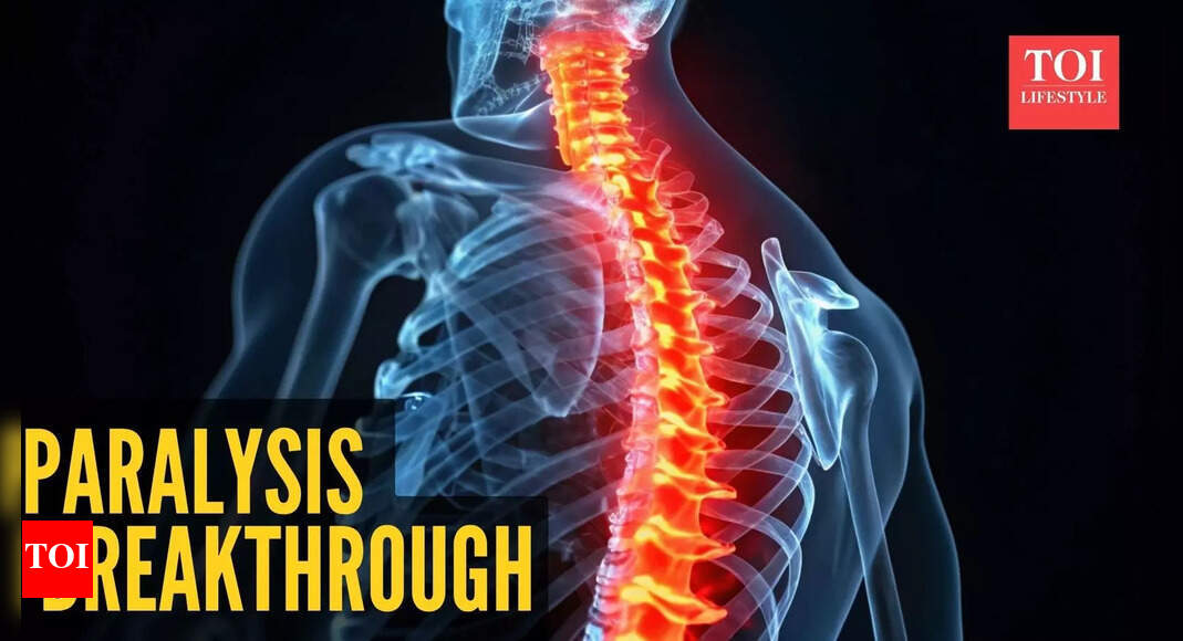 Cure for paralysis? Scientists find an old drug that could regenerate life in the spinal cord |