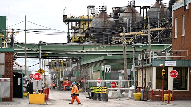 Canada's economy shrank by 0.3% in August