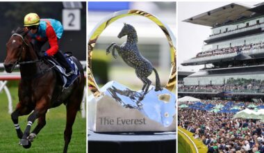 Form guide, tips, odds, horses, start time, prizemoney, will favourite Ka Ying Rising win, slot system explained, predicted first 4