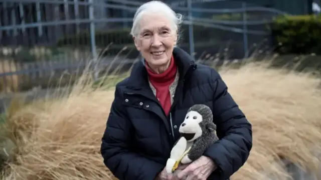 Jane Goodall stood in field, she is holding a toy chimpanzee with a banana it its hand.