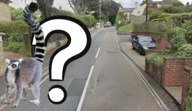 Mystery over unidentified animal sighting on the Isle of Wight