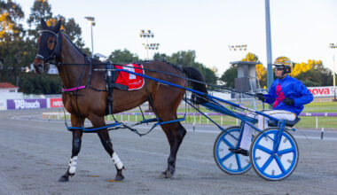 The Road to the 2025 Sky Channel WA Derby