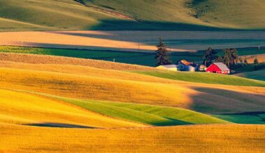 Market Perspectives October 2025 | Barclays Private Bank