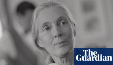 Jane Goodall’s grasp of chimpanzees and ‘alpha males’ | Jane Goodall