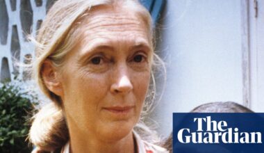 Dame Jane Goodall obituary | Jane Goodall