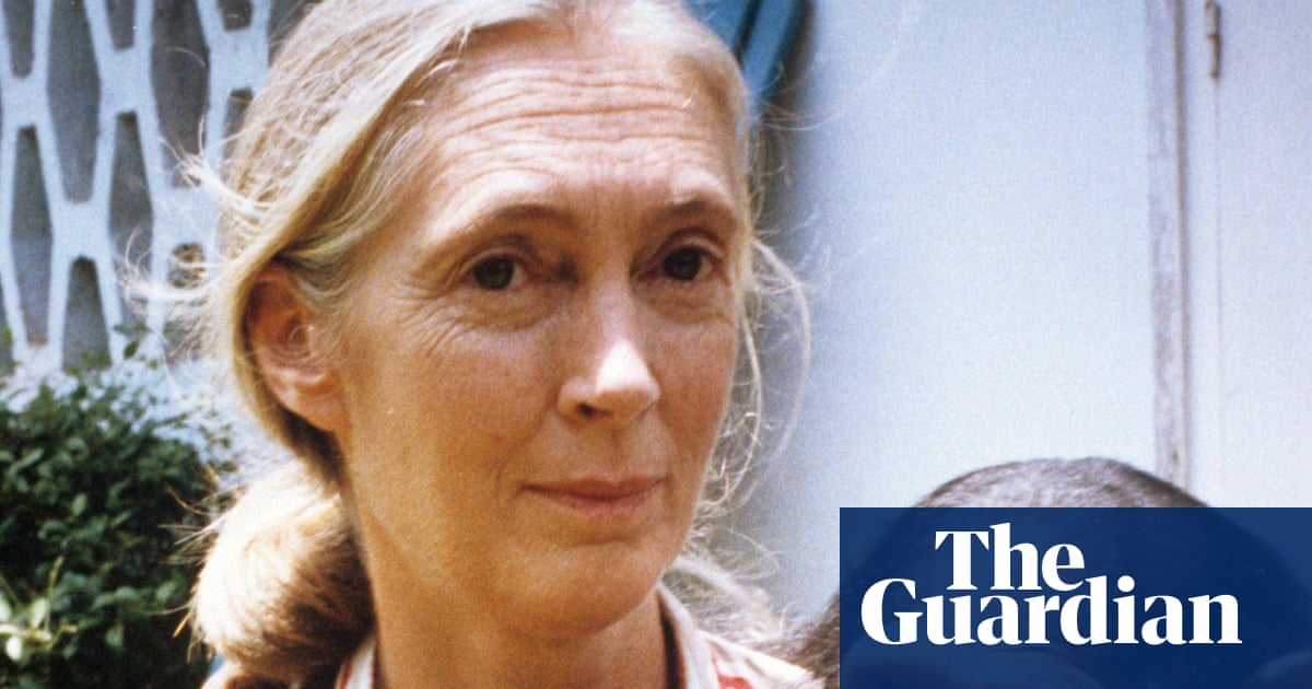 Dame Jane Goodall obituary | Jane Goodall