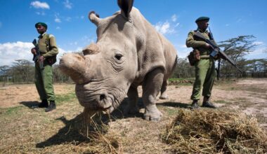 how to bring a species back from the dead