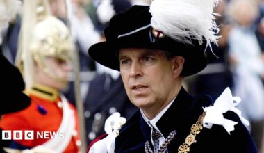 Prince Andrew in the robes of the Order of the Garter