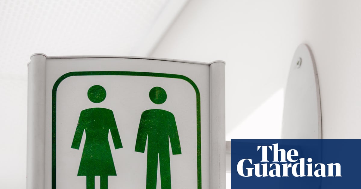 Trans people at risk of exclusion from many UK public spaces, rights expert says | Transgender
