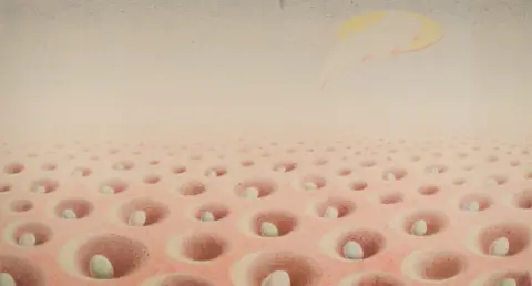 Swindon Museum & Art A coloured pencil piece of surrealist art showing a landscape stretching into the distance, of a flat reddish-brown, with lots of small holes, many with unhatched eggs in different colours and others empty. There is a bright sky with faint light blue and the symbol of a bright sun the corner