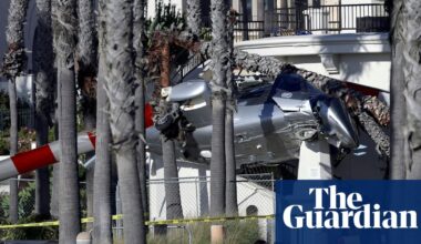 Helicopter spins out of control into palm trees at popular California beach | California