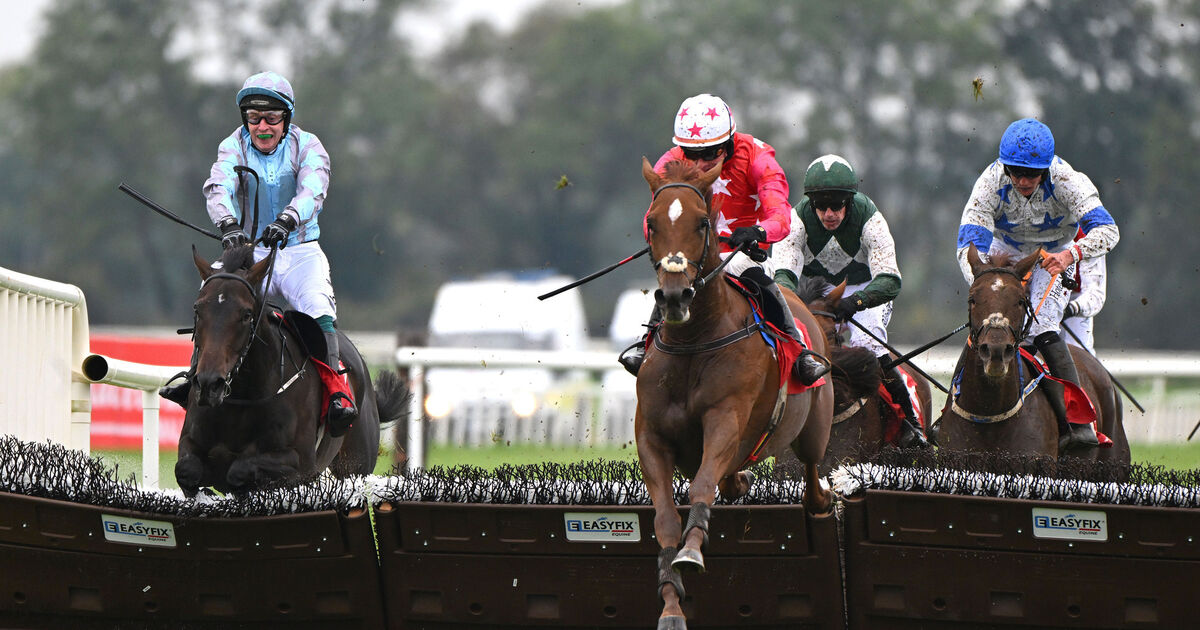 Quinta Do Lago defies signs of greenness to land Cork spoils 