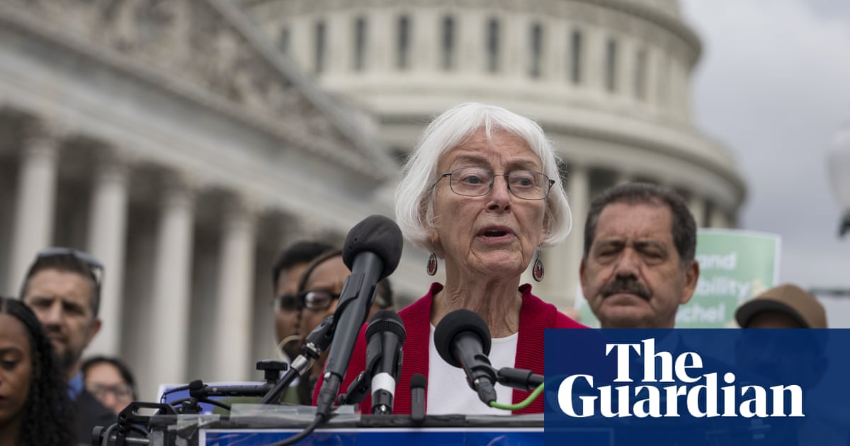‘A club nobody wanted to be a part of’: Families of Americans killed by Israel face uphill climb to justice | US news