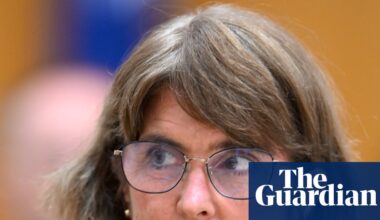 RBA governor dismisses jobs fears but hints at rates hold after inflation uptick | Australian economy