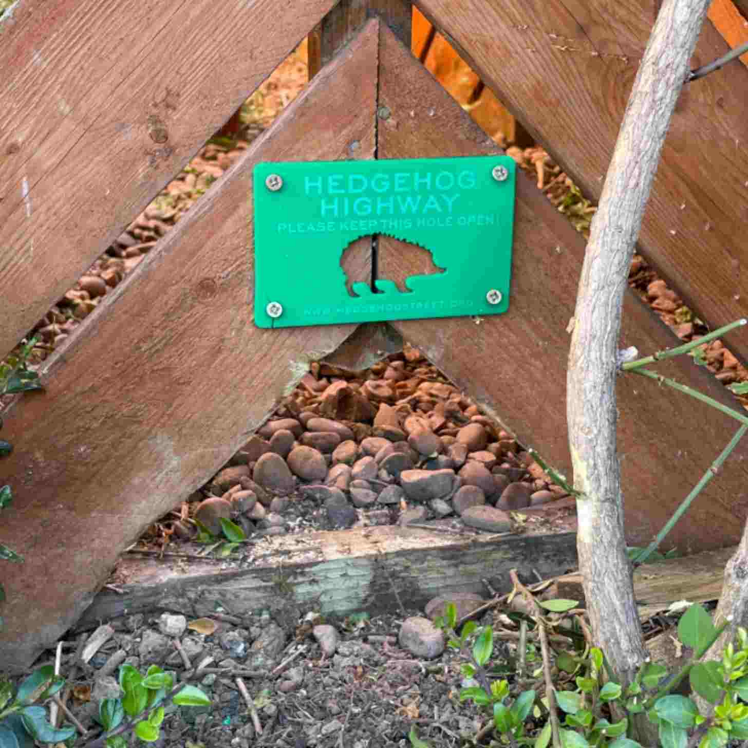 A hole cut into a triangular style wooden fence with a sign that reads: Hedgehog Highway, please keep this hole open!