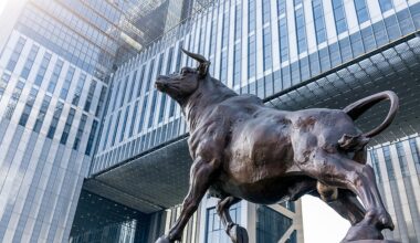 Robust, open capital market critical asset