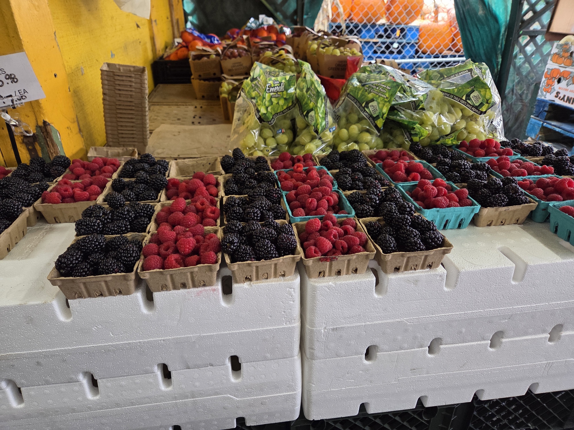 Berries shot by Galaxy S25 Plus