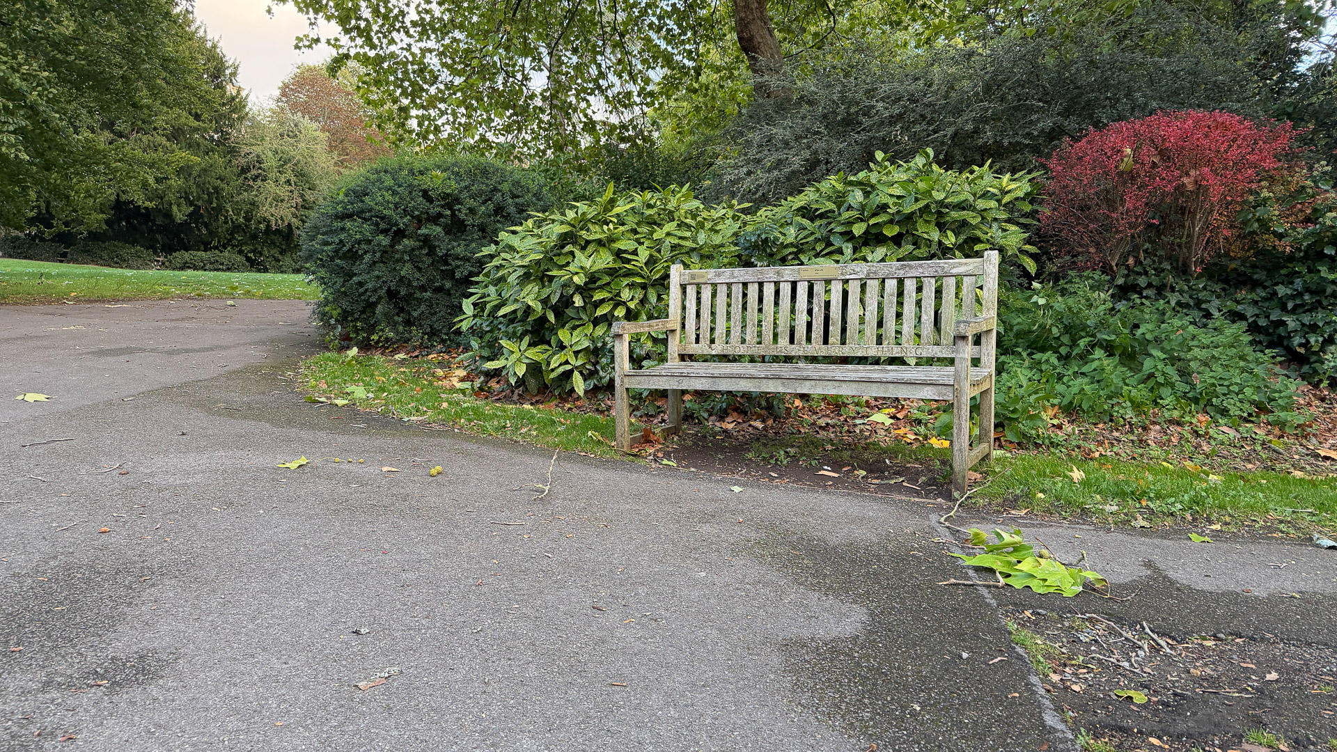 iPhone 17 Pro test shot