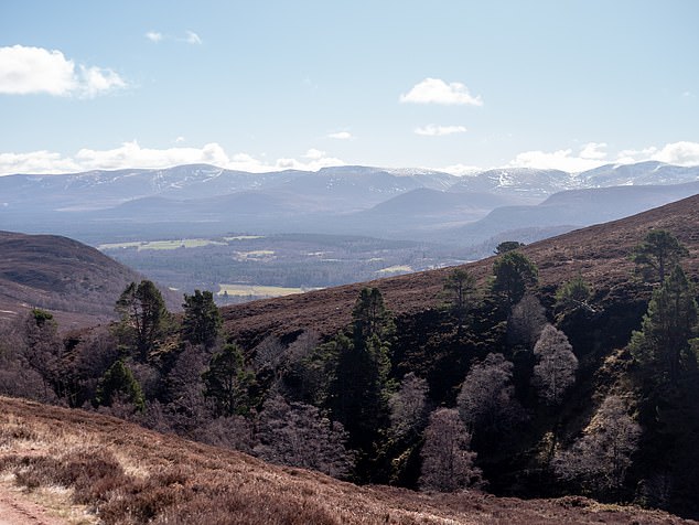 The 'punk' brewery purchased Kinrara Estate, claiming it would be funded by sales of its Lost Forest beer as it looked to reinvent itself as a 'carbon negative' beer producer