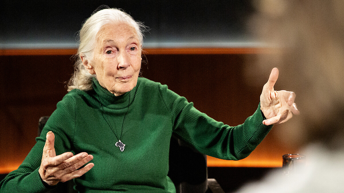 Jane Goodall Interview in Famous Last Words Netflix Documentary