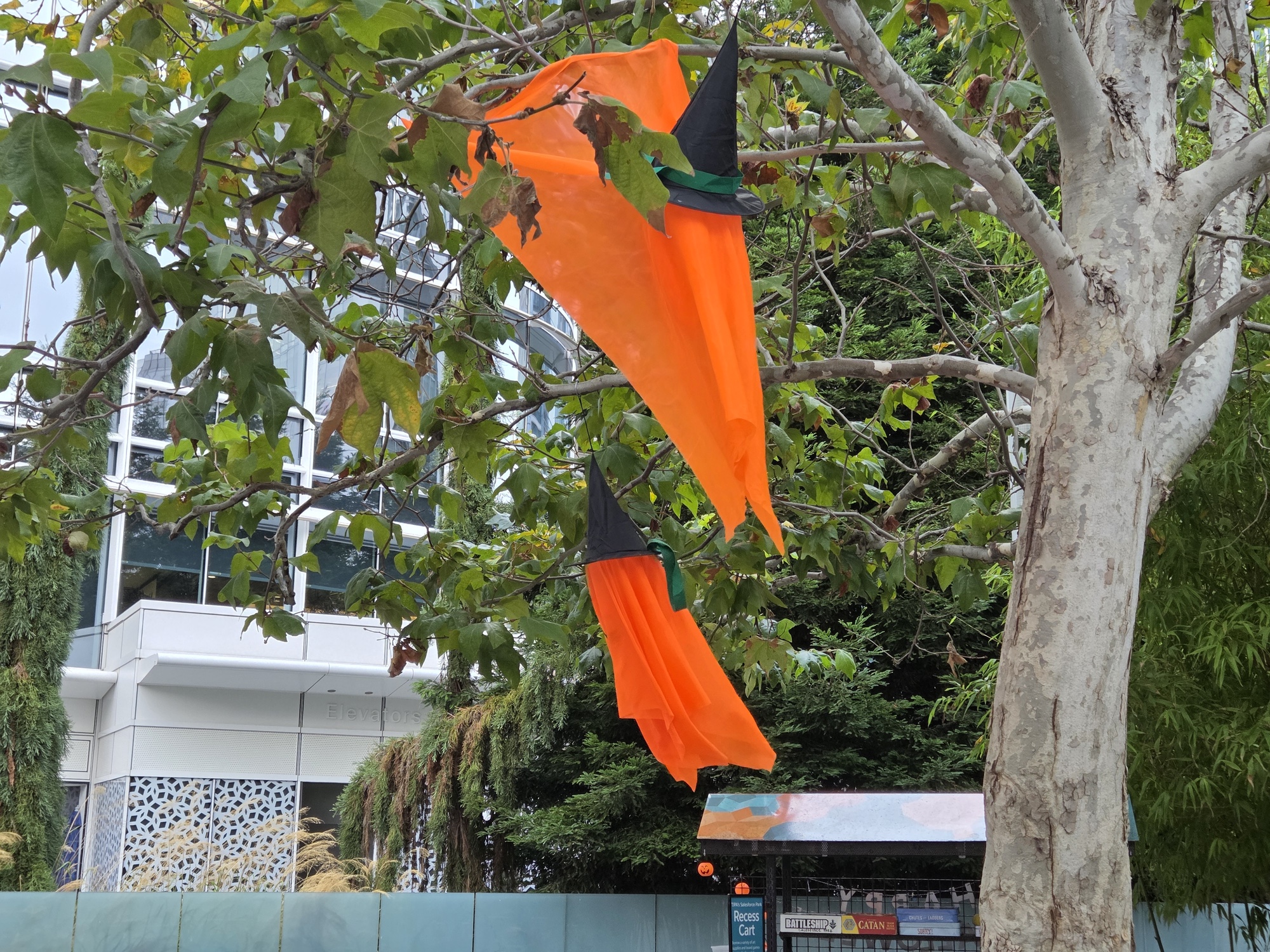 Halloween decorations by Galaxy S25 Plus