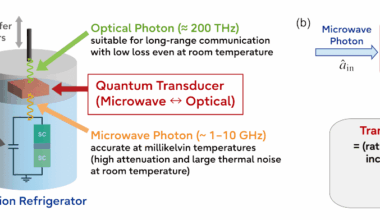 Microwave-to-optical Quantum Transduction Enables Quantum Networks and Distributed Quantum Computing