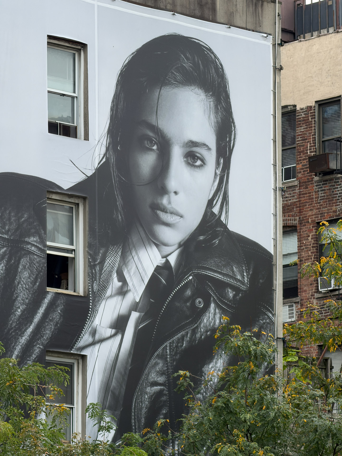 iPhone 17 Pro test shot