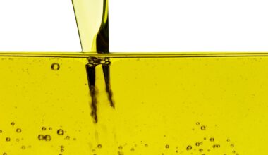 Are Seed Oils Actually Bad for You?