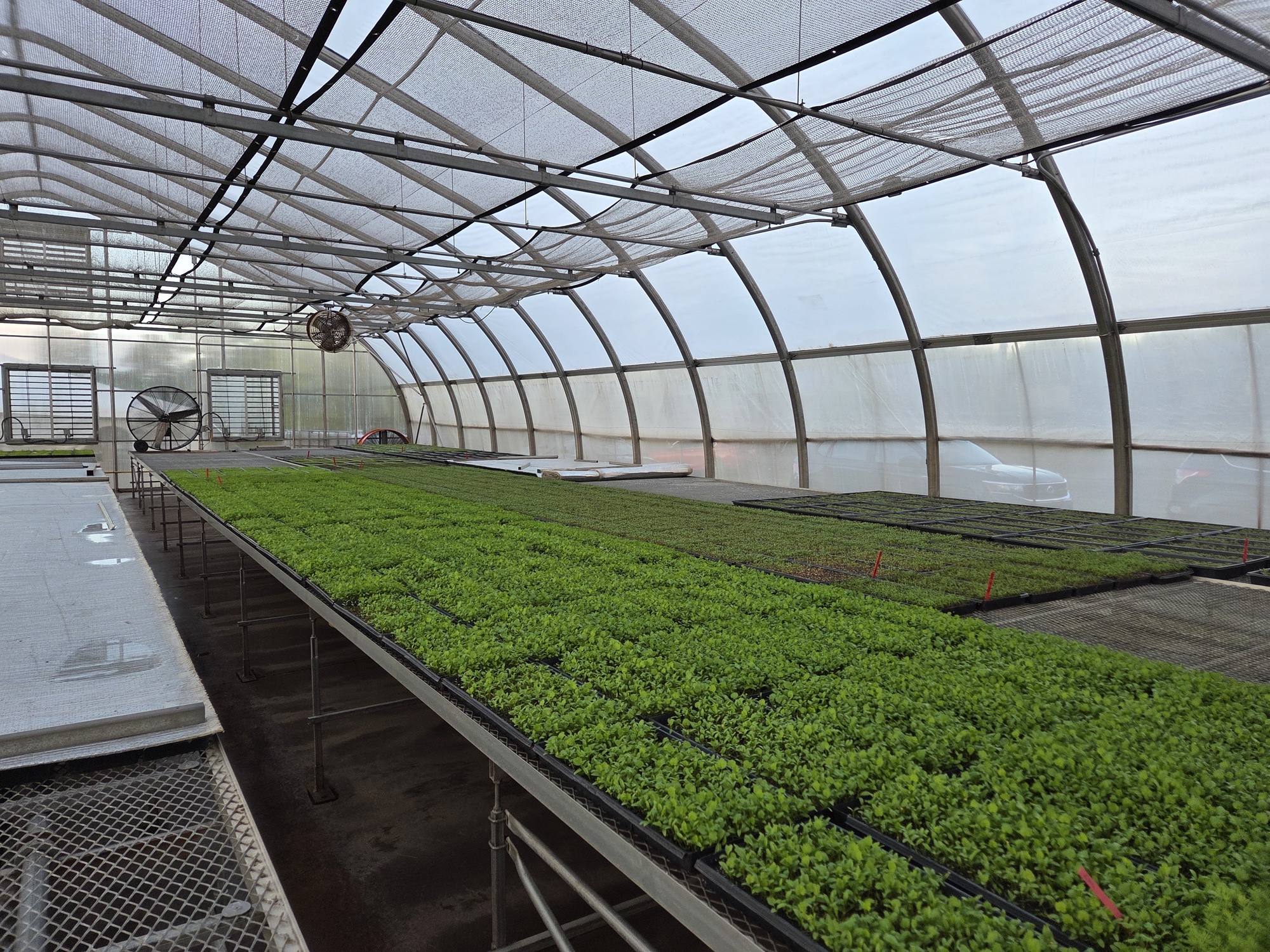 Greenhouse shot by Galaxy S25 Plus