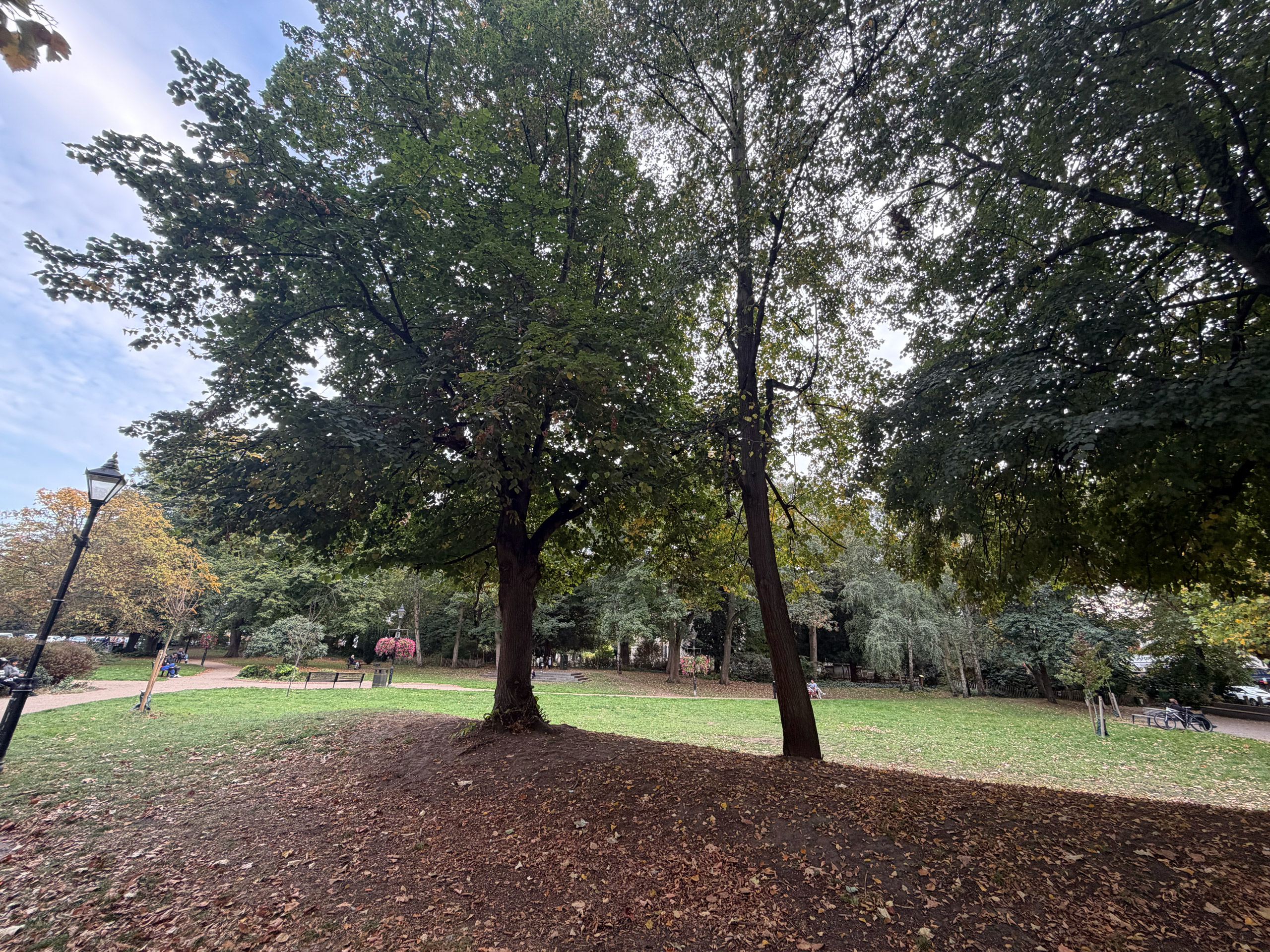 iPhone 17 ultrawide example