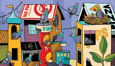 In Defense of Pigeons